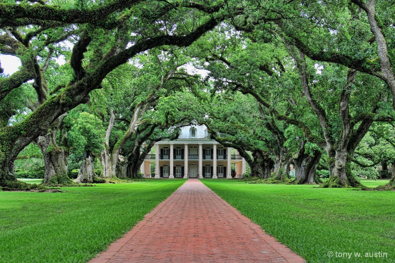 Oak Alley