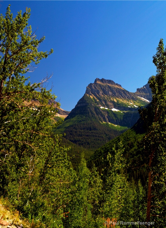 Glacier National Park View