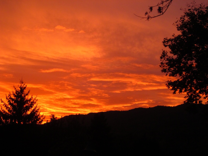 Orange Sunset 