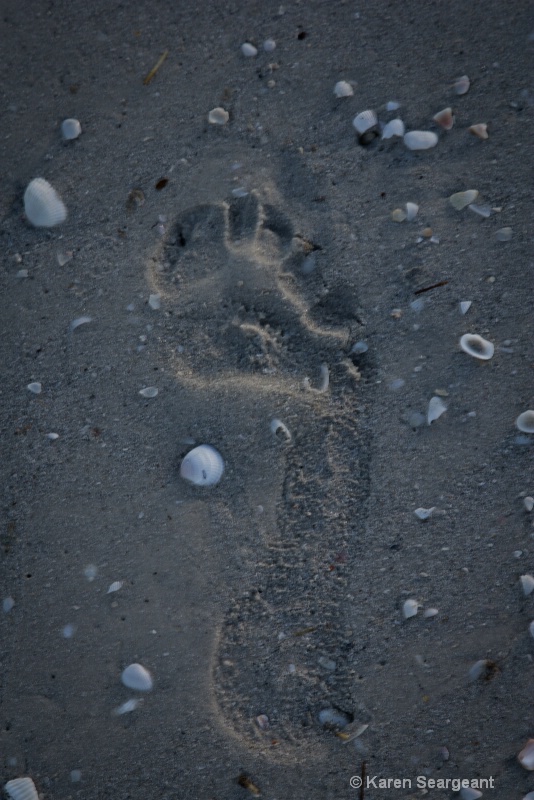 Footprints N Shells