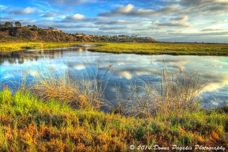 Overlooking San Elijo Lagoon 