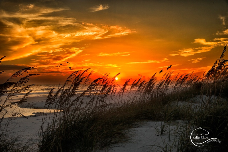 National Sea Shore