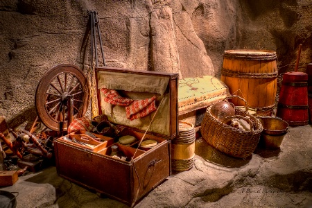 Pioneer's Treasures 