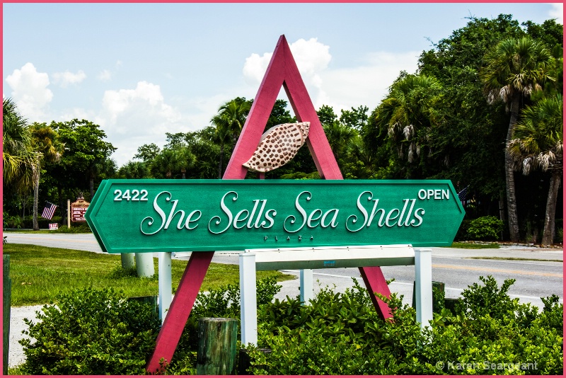 She Sells Sea Shells