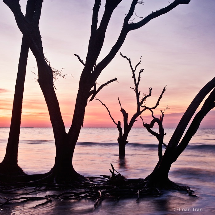 Dawn at Boneyard Beach