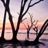 © Loan Tran PhotoID # 14626113: Dawn at Boneyard Beach