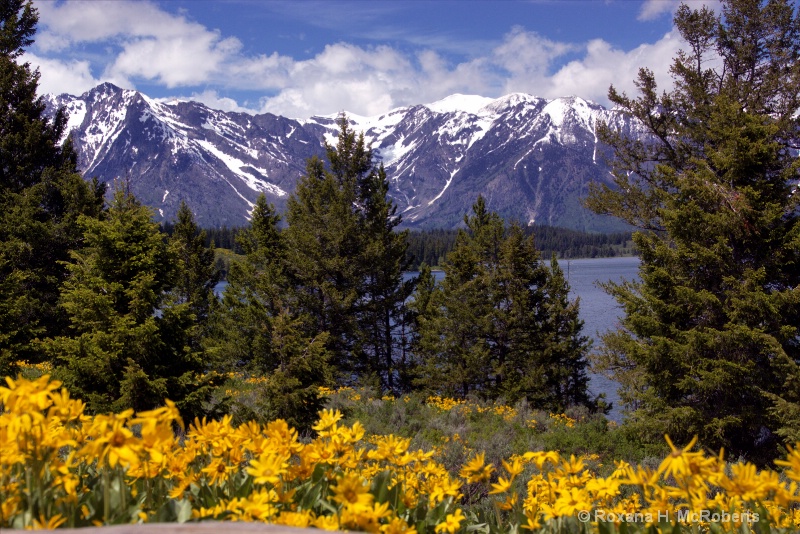 Grand Teton National Park