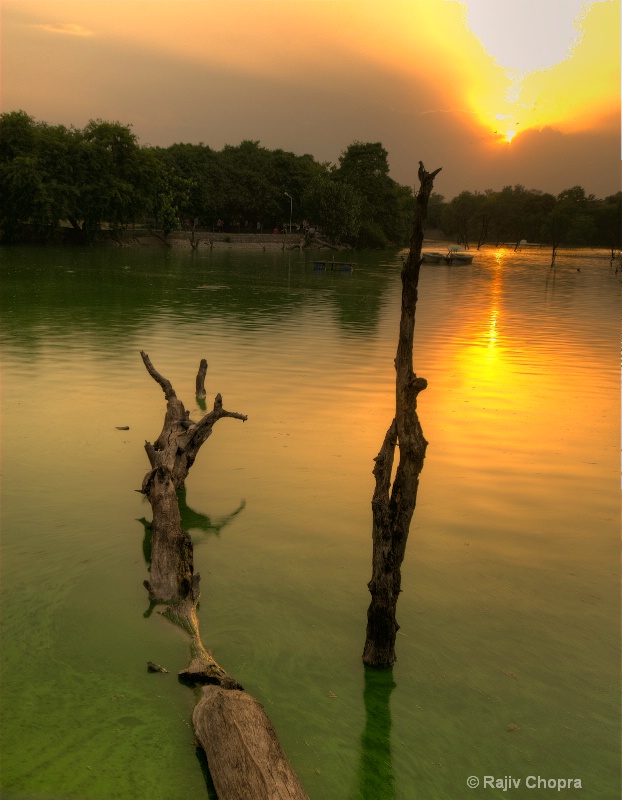 Sunset At Deer Park, New Delhi