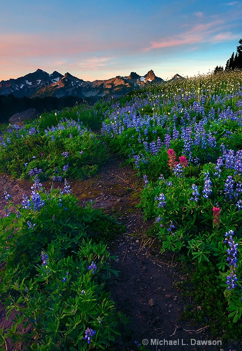 Path to Tatoosh