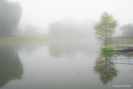 Silence in the Fog