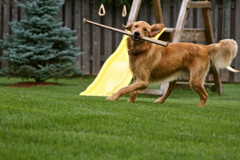 Ha Mom, you can't get my stick from me...