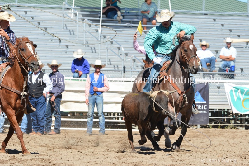 alder   rogers uhs 2014 ss oakley 1 - ID: 14628779 © Diane Garcia