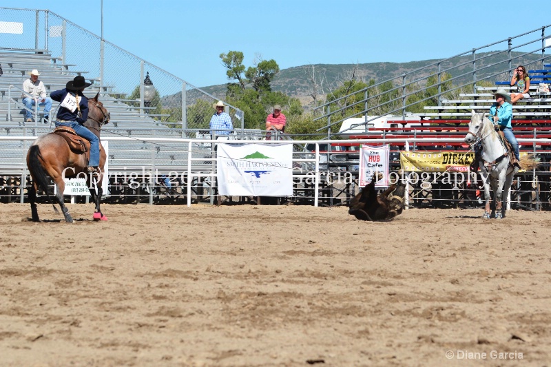 ahlstrom miller uhs 2014 ss oakley 6 - ID: 14628780 © Diane Garcia