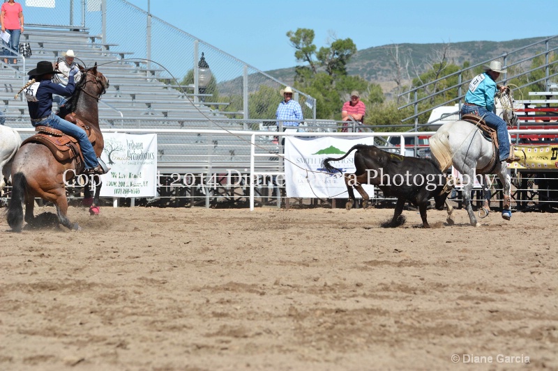 ahlstrom miller uhs 2014 ss oakley 5 - ID: 14628781 © Diane Garcia