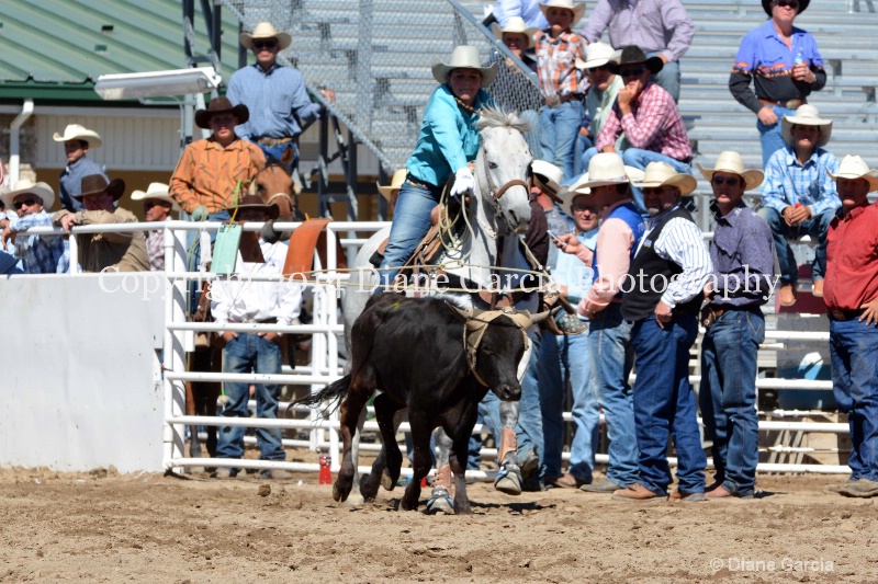 ahlstrom miller uhs 2014 ss oakley 1 - ID: 14628785 © Diane Garcia