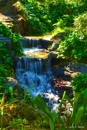 Peaceful Water Fall