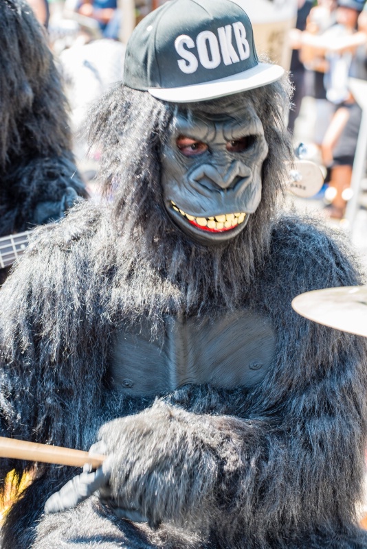Ape Playing Drums