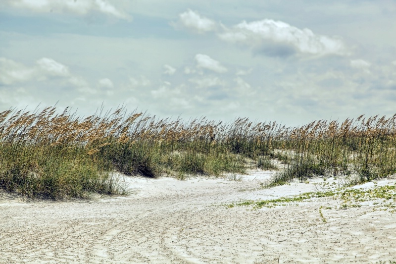 Tybee Beach, outside of Savannah, GA