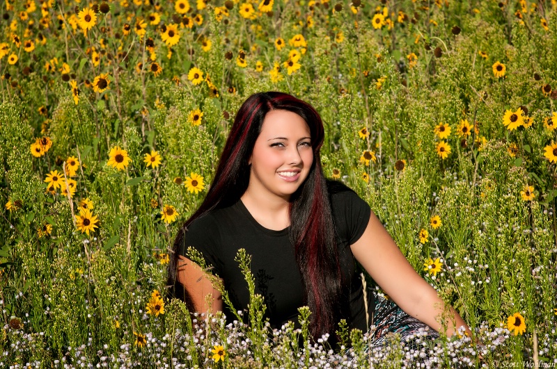 Late Summer In Colorado Springs