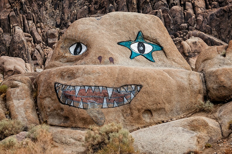 Starry Eyed Rock - ID: 14636256 © Patricia A. Casey