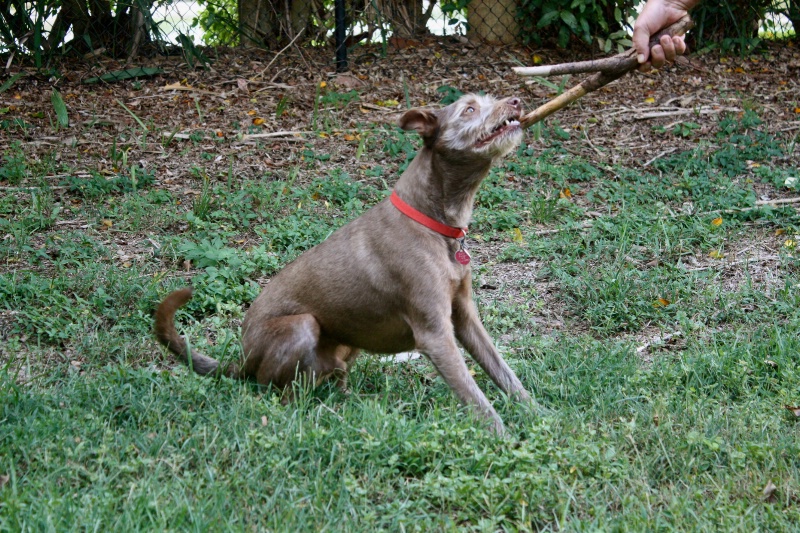 Ralphy, I love my stick!!!!!!!!!!!!