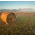 © Jim D. Knelson PhotoID # 14638520: Sunrise near Vanscoy SK