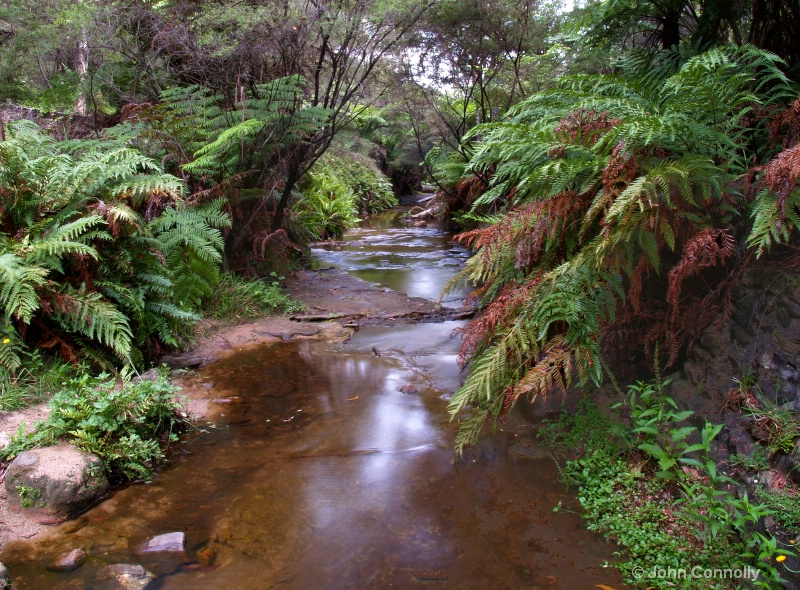 Leura Creek