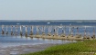 Apalachiocola Bay