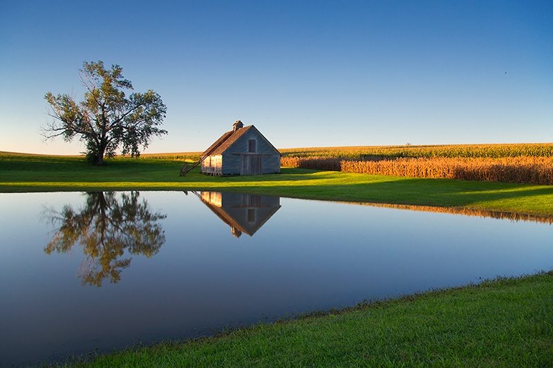 Summer Evening