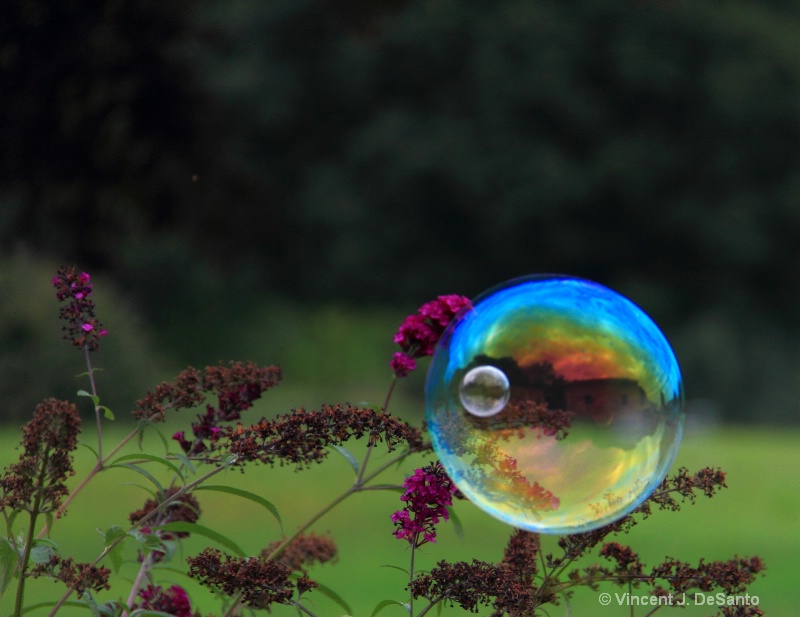 Floating Bubble