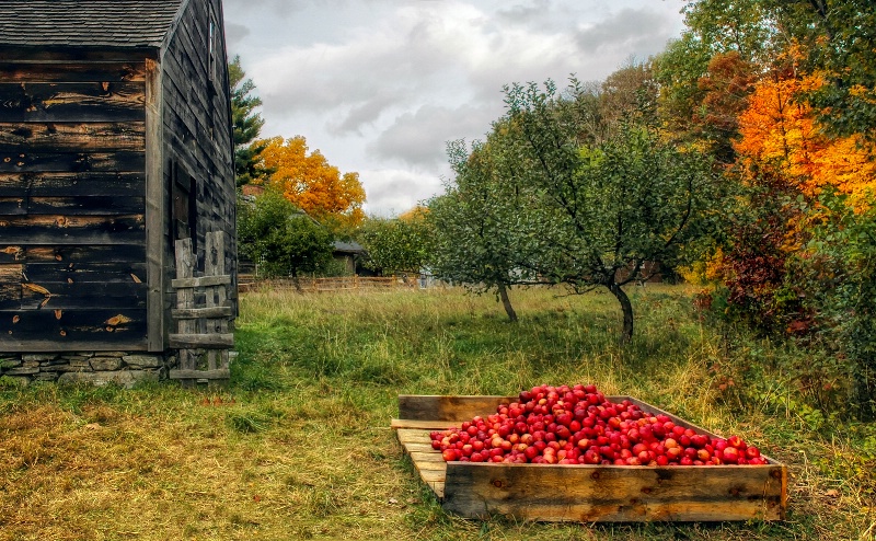 By the Cider Mill