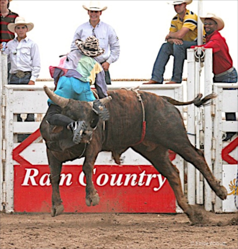 No way to ride a bull