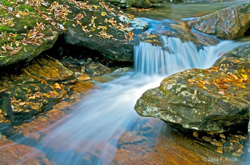 Skinny Dip Creek - ID: 14642374 © Zelia F. Frick