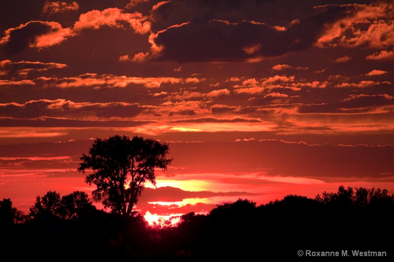 North Dakota Sunset - ID: 14642440 © Roxanne M. Westman