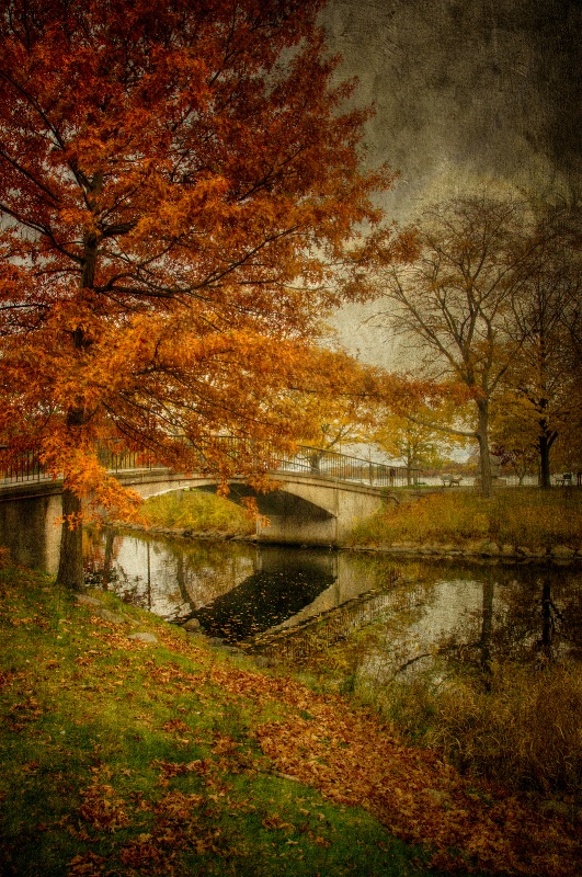 Bridge Over the Lagoon