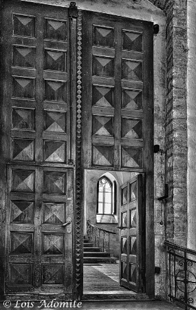 door & window