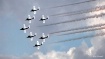 Snowbirds 2014
