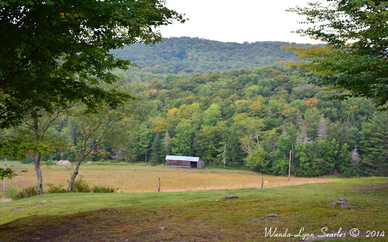 Start of Fall Colors