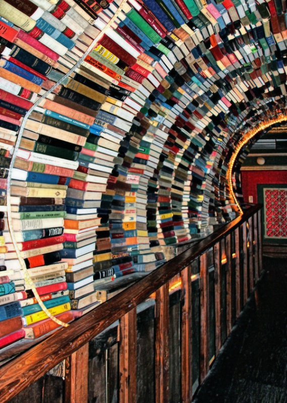 Tunnel of Books