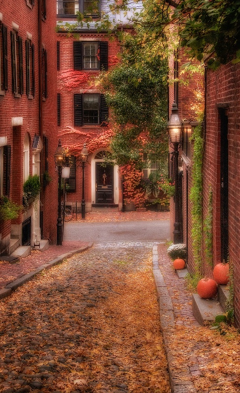 Autumn on Acorn Street