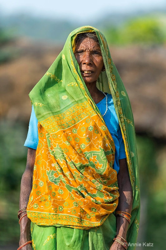 woman in green sari - ID: 14648670 © Annie Katz