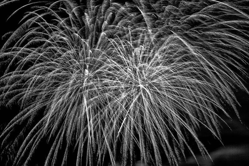Feathery Fireworks in Black and White