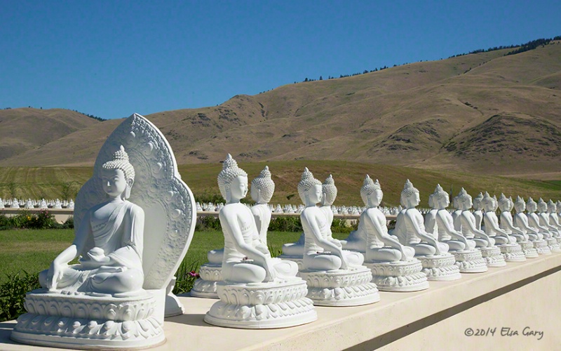 Garden of One Thousand Buddhas #2