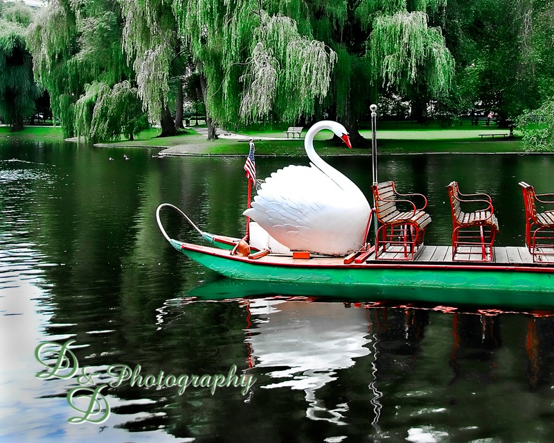 Swan Boats, Boston, MA