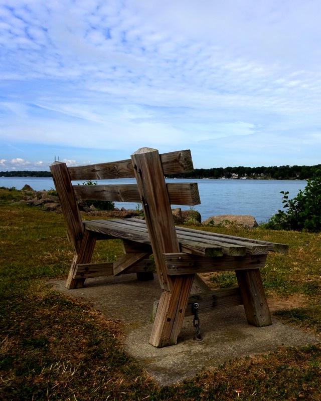 Lone bench