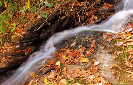 Creek of Color