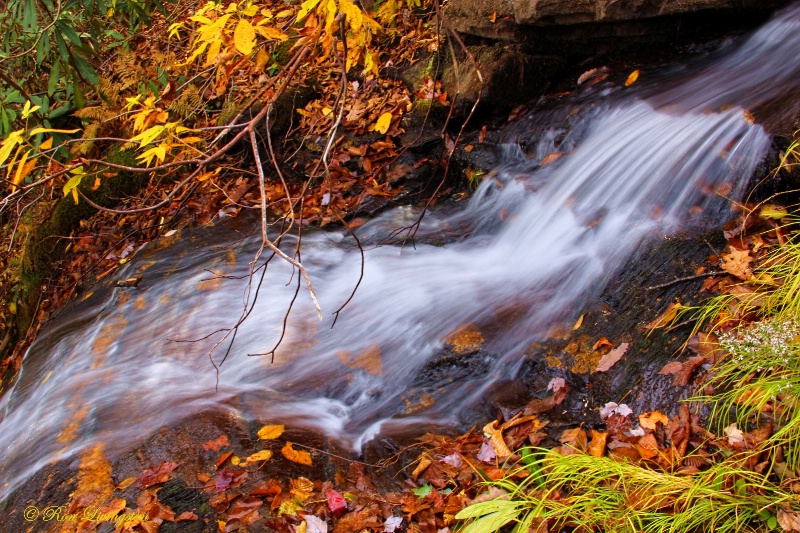 Autumn Flow