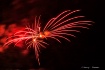 Spidery Fireworks