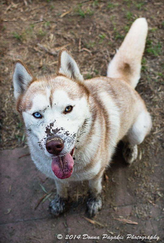 Got Mud?!!!