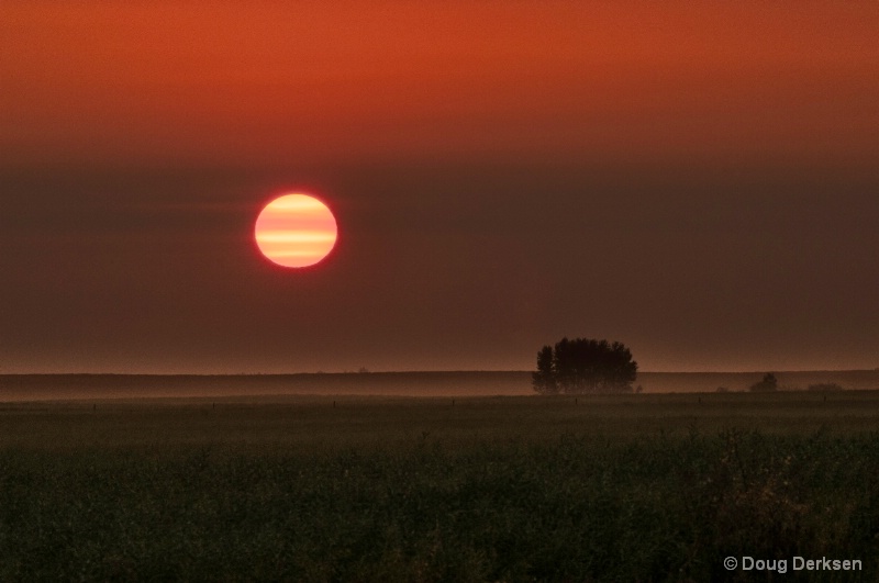 Sunrise on Foggy Prairie